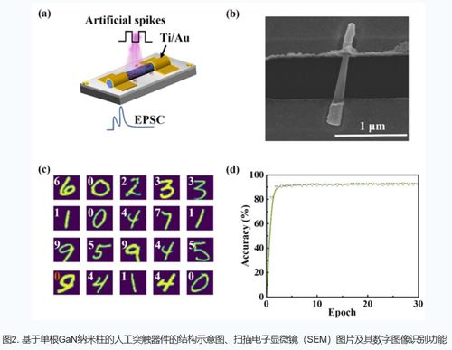 新型氮化鎵基光電器件 中國科學院突破效率瓶頸，助推綠色半導體革命